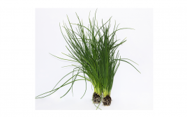 Simply Fresh Chives Leafy Greens   Box  250 grams